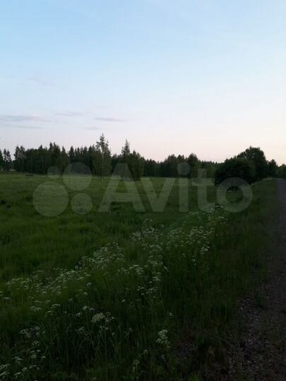 Участок 8,15 га (СНТ, ДНП)