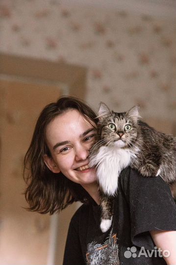 Котоняня, кэтситтер, зооняня