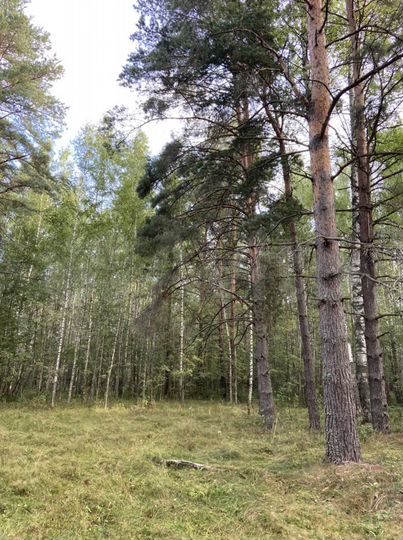 Дом 380 м² на участке 20 сот.