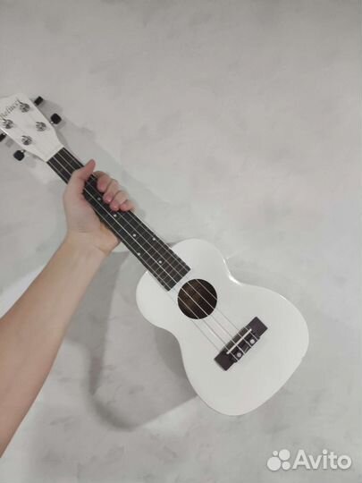 Укулеле концерт