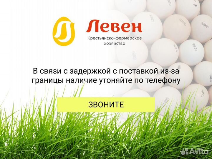 Импортное инкубационное яйцо кобб 500