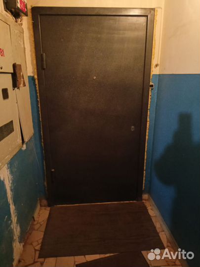Входная дверь металлическая