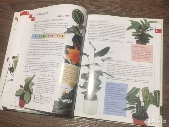 Библия комнатнах растений
