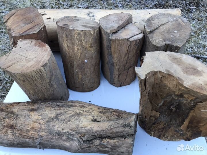 Самшит заготовки