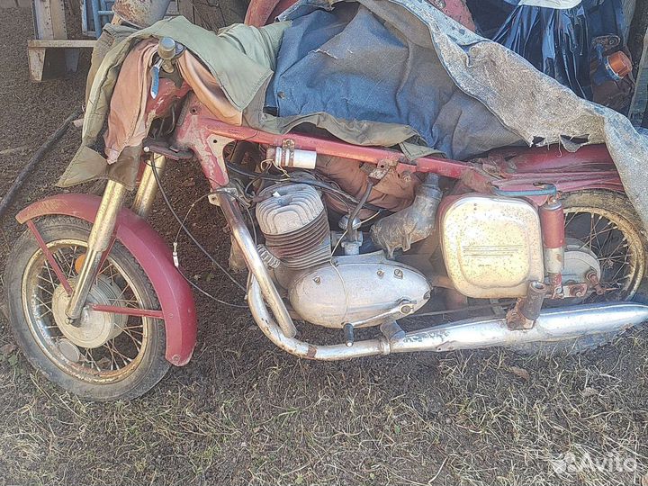 Старушка Ява