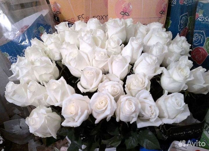 Высокие Высокие розы Гигантские розы Букеты Достав