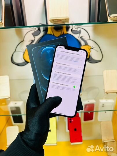 iPhone 12 Pro Max 256GB