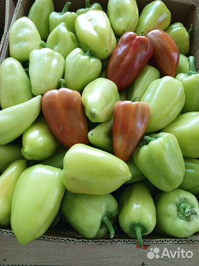 Доставка продуктов питания