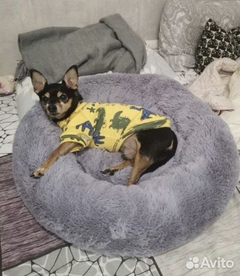 Лежанка 60 см для кошек собак. Много цветов