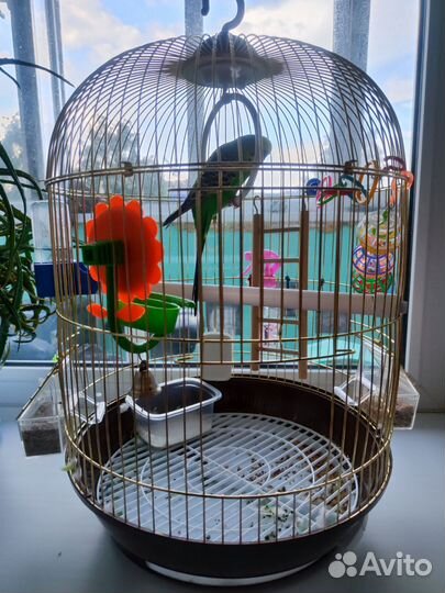Клетка для птицы