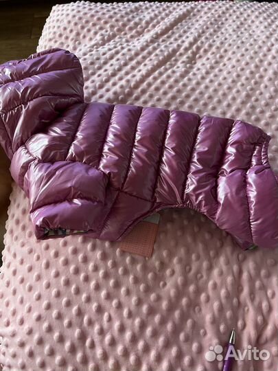 Комбинезон для маленькой собаки