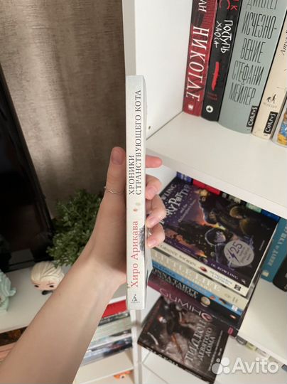 Хроники странствующего кота - Хиро Арикава