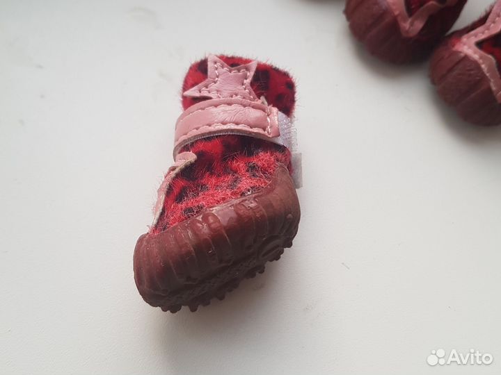 Обувь для маленьких собак