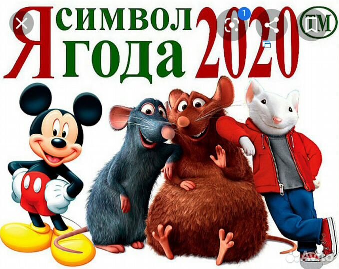 Ведущие для вашего праздника