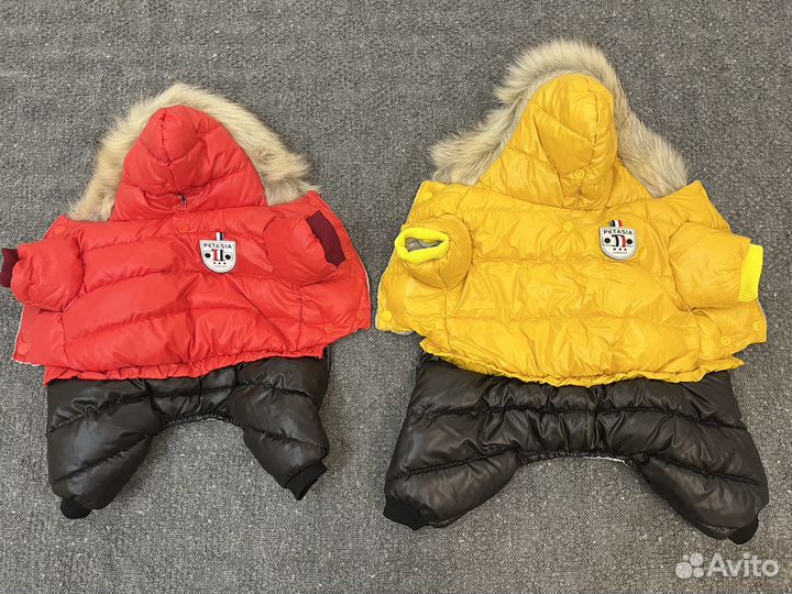 Одежда для маленьких собак