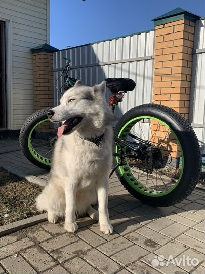 Велосипед fatbike