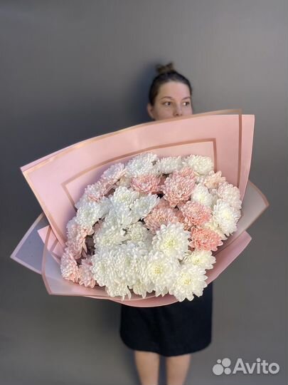 Хризантема игольчатая