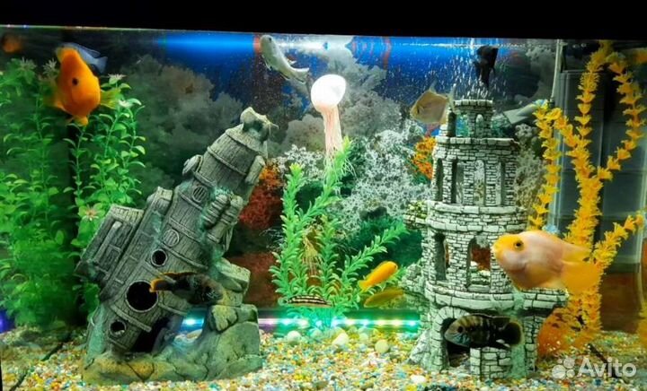 Грот в аквариум