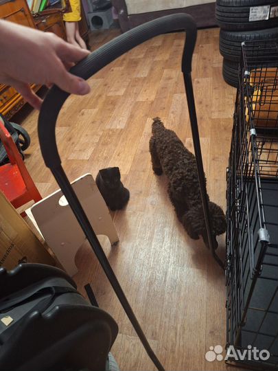 Снегокат детский (лыжни+колеса+ручка для родителя)