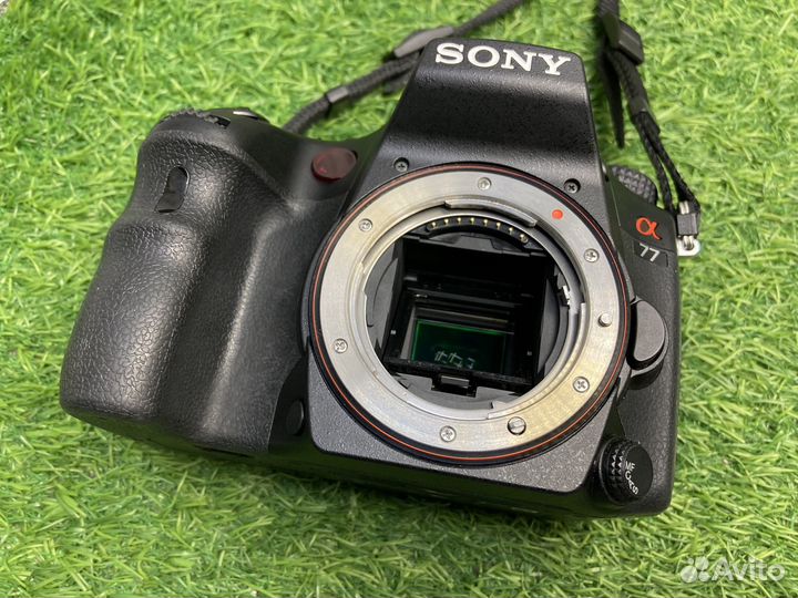 Sony A77 12.200 кадров
