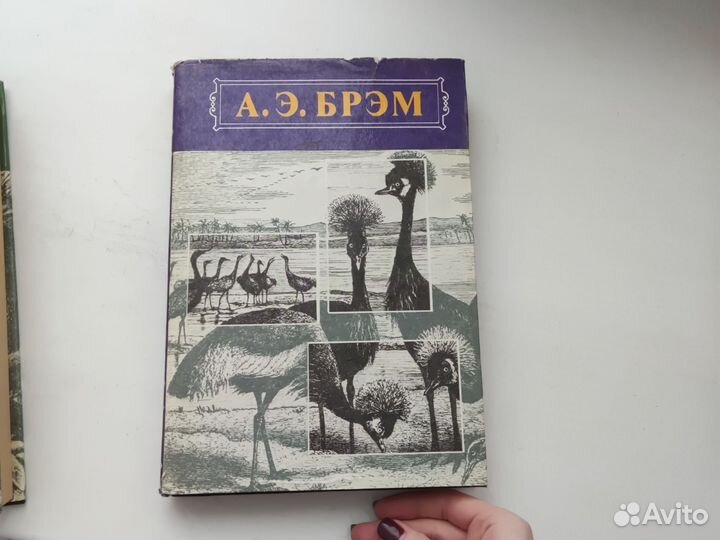 А.Э.Брэм Жизнь животных. Трёхтомник и отдельно