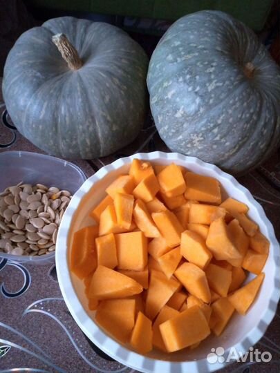 Семена тыквы для посадки или еды