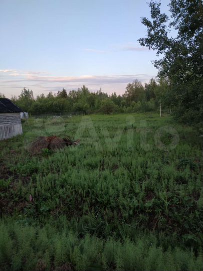 Участок 9 сот. (СНТ, ДНП)