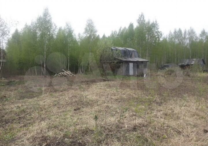 Участок 12 сот. (СНТ, ДНП)