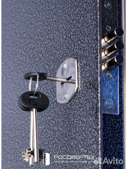 Входная металлическая дверь в квартиру