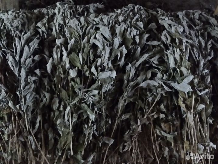 Сухие травы