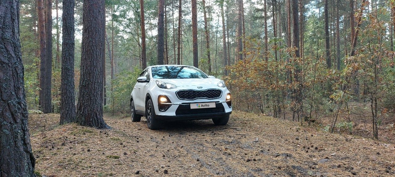 Kia Sportage: фото владельца