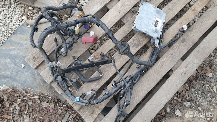 Коса подкапотная Toyota Allion, Premio 1,8