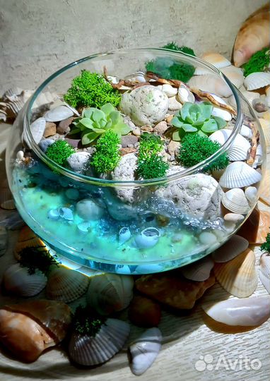 Флорариум с цветами в подарок