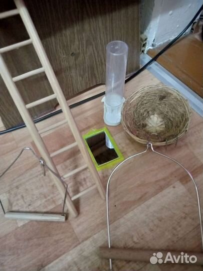 Аксессуары для попугаев