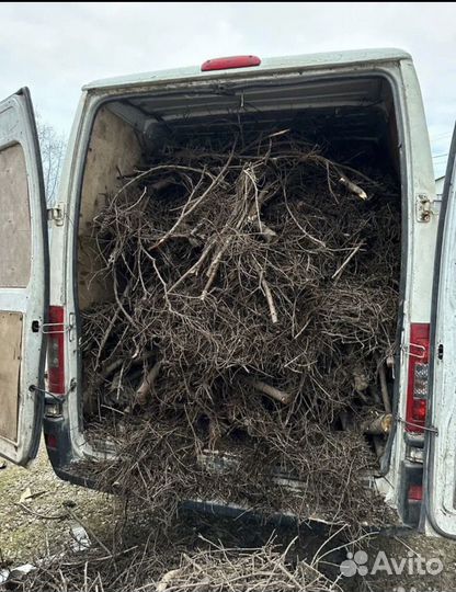 Вывоз хлама,бытового,пищевого,строительного мусора