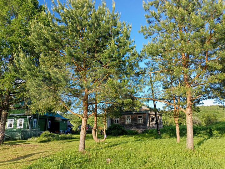 Участок 30 сот. (ИЖС)