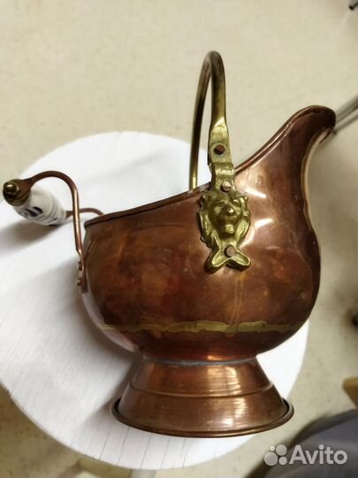 Зольник медный