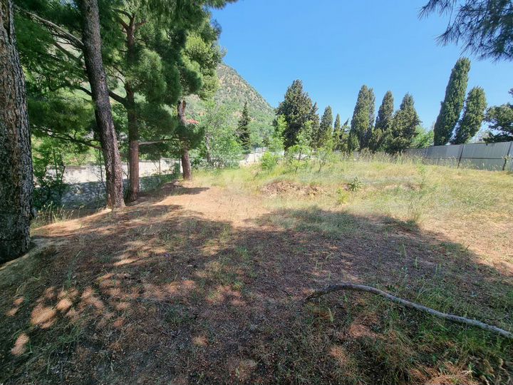 Участок 1,32 га (ИЖС)