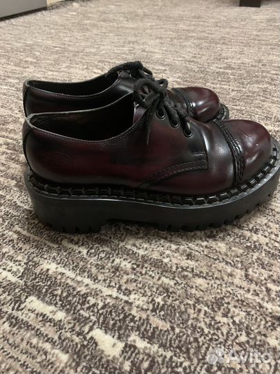 Shellys camelot steel grinders 40-41