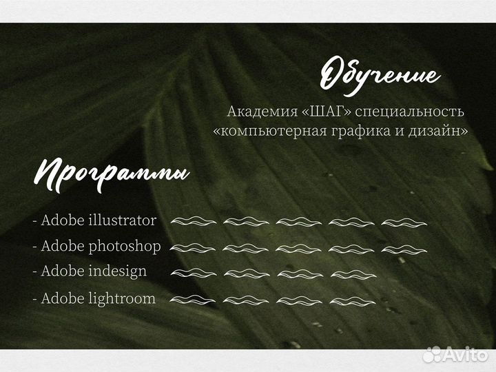 Разработка логотипа / Графический дизайнер