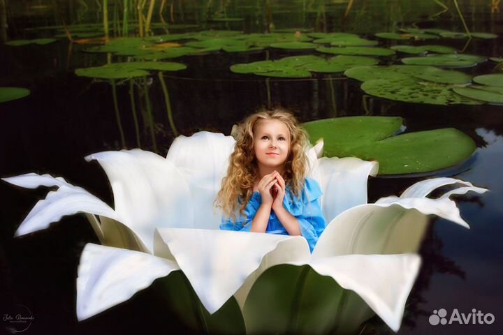 Лотос для Дюймовочки, большой цветок