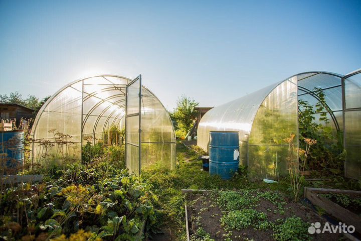 Теплицы с доставкой