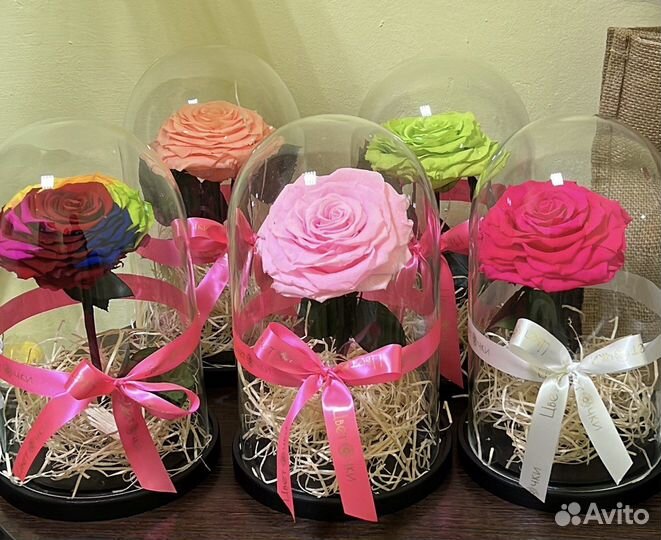 Роза в колбе