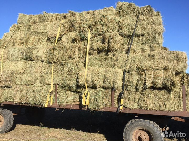 Сено степное разнотравье в кипах