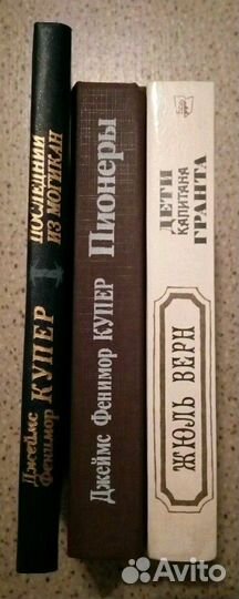 Фенимор Купер, Жюль Верн