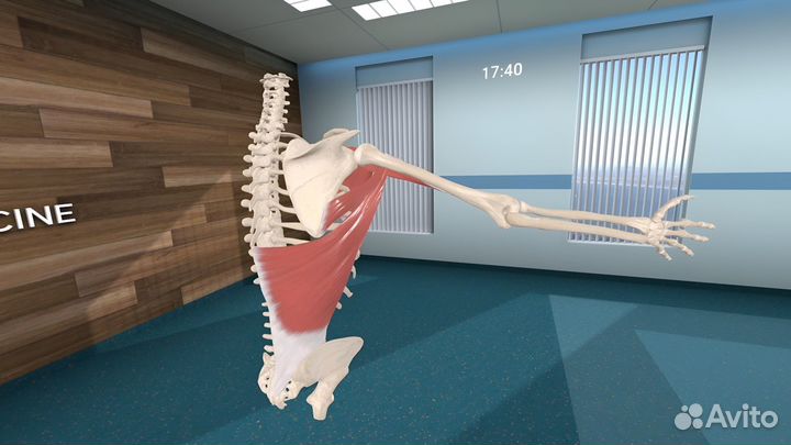Human Anatomy VR2 PS5