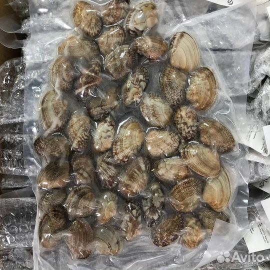 Клемы вонголе