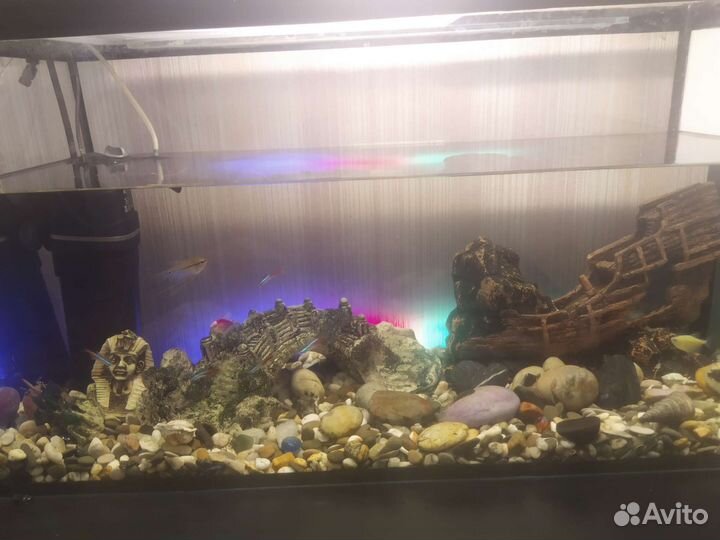 Аквариум комлект