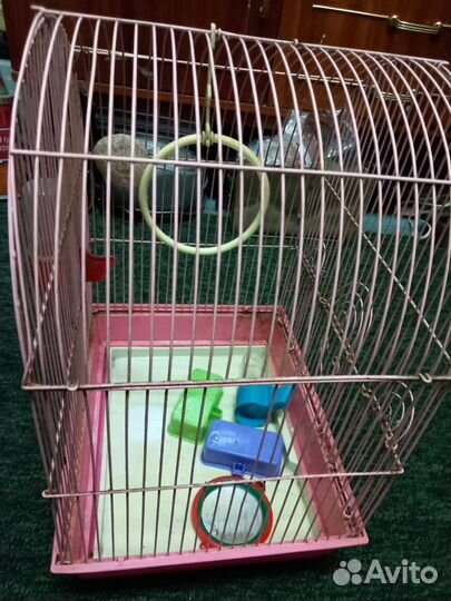 Клетка для попугая с аксессуарами