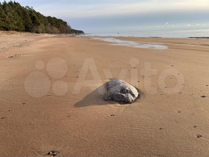 Дом 227,1 м² на участке 19 сот.